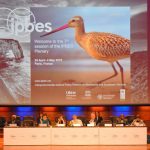 「動植物100万種が絶滅危機」 IPBESが報告書を公表							